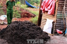 Xử lý vụ 'hô biến' tiêu lép thành tiêu thành phẩm tốt ở Bình Phước